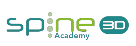 Spine 3D academy